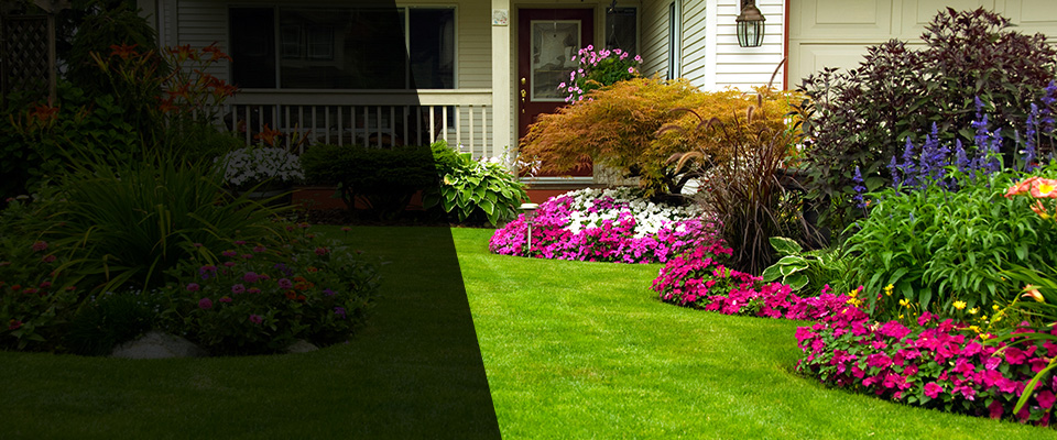 Ivins Landscapers