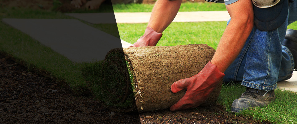Ivins Landscapers